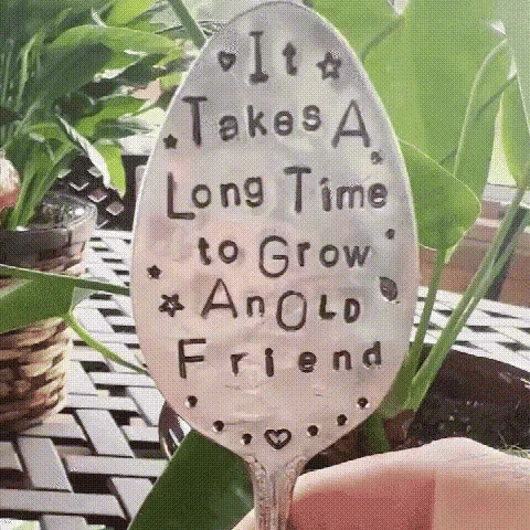 villow-🌱Garden Marker Friendship Gift💕