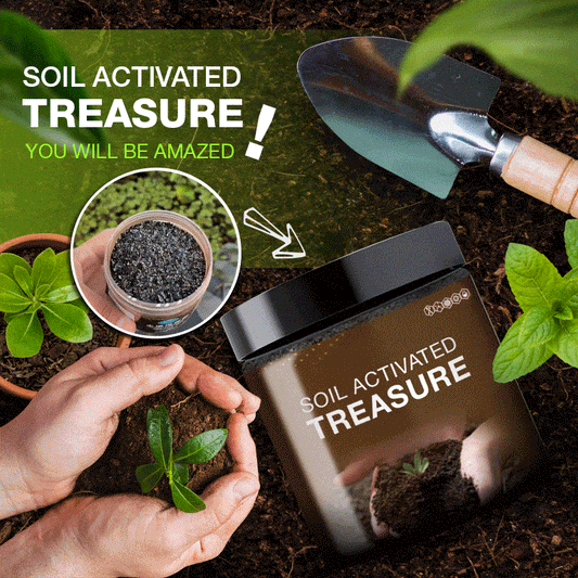 villow-Soil Activated Treasure-You Will Be Amazed🌿
