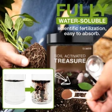 villow-Soil Activated Treasure-You Will Be Amazed🌿
