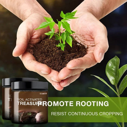 villow-Soil Activated Treasure-You Will Be Amazed🌿
