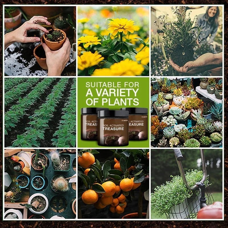 villow-Soil Activated Treasure-You Will Be Amazed🌿